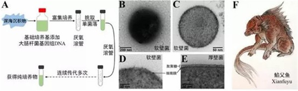 1621933026950336.jpg 640 (2).jpg