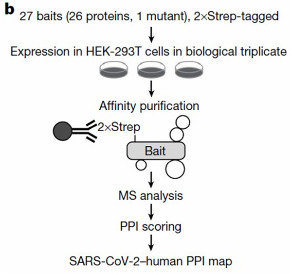 1625645419385352.jpg 640 (3).jpg