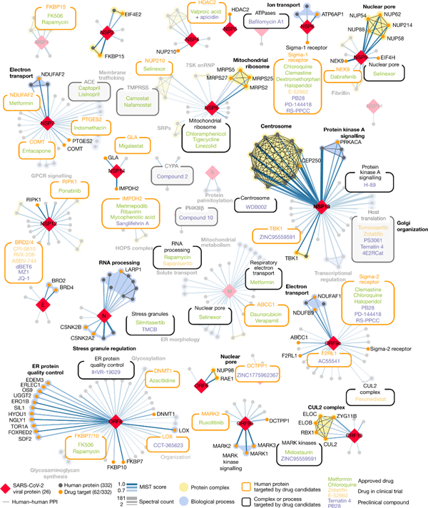 1625645475534332.png 640 (7).png