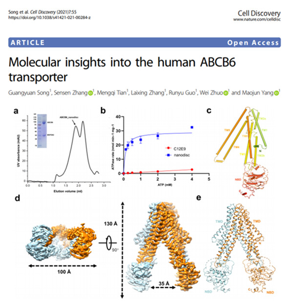 1649298197773300.jpg 640 (3).jpg