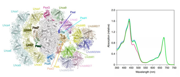 1649298207853052.jpg 640 (4).jpg