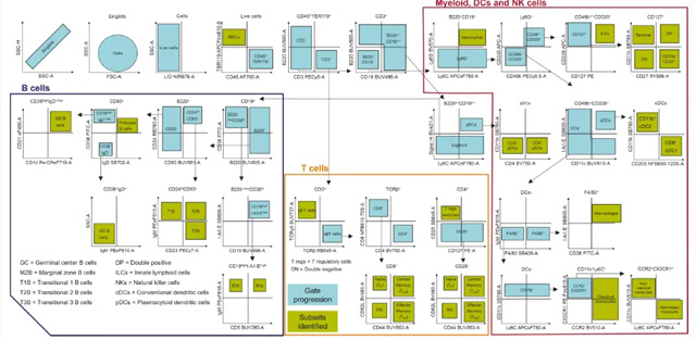 1758870132131947.jpg wx_fmt=png&tp=webp&wxfrom=5&wx_lazy=1(1).jpg